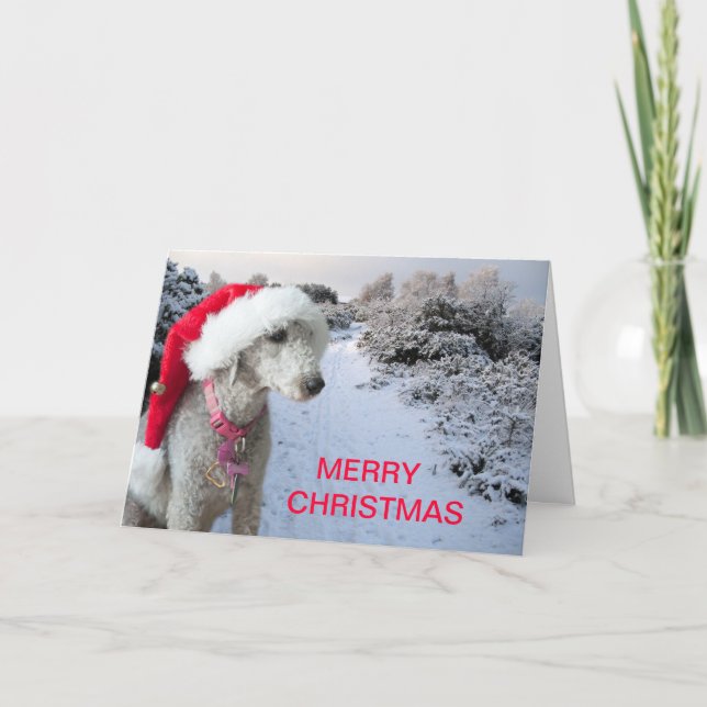 Julkort Helgkort (Framsida)