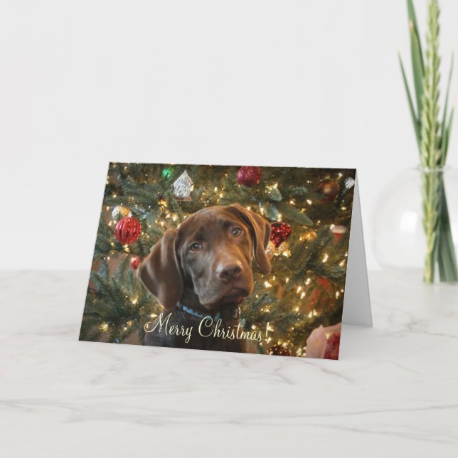 Julkort Helgkort (Framsida)