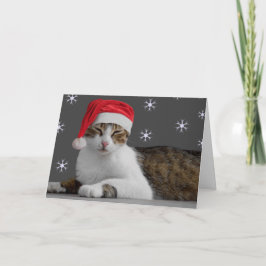 Julkort Helgkort