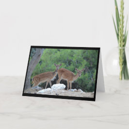 Julkort Hjort-Greeting Card Deer Kort