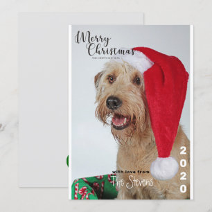 Julkort Hund Pet Photo Collage Inbjudningar