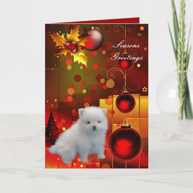Julkort Hund Valp Pomeranian Helgkort (Framsida)