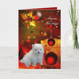 Julkort Hund Valp Pomeranian Helgkort