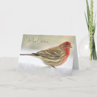 Julkort i Önskemål Tack Kort