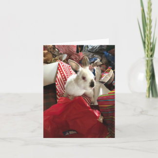 Julkort, Julbunny Joy Hett kort