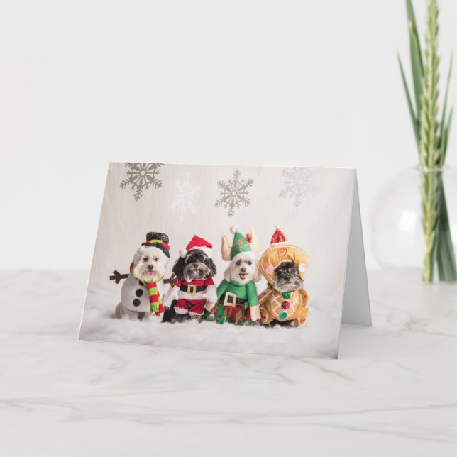  Julkort Kort (Framsida)