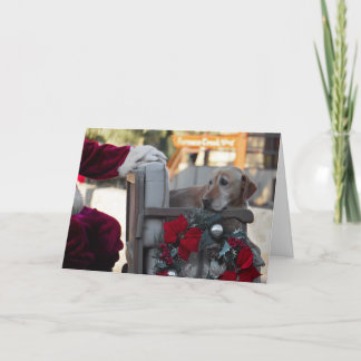 Julkort: Kväll i Dödsdalen Helgkort