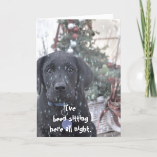 julkort ~Labrador Puppy Helgkort