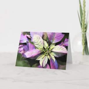 Julkort - Lavender Poinsettia Helgkort