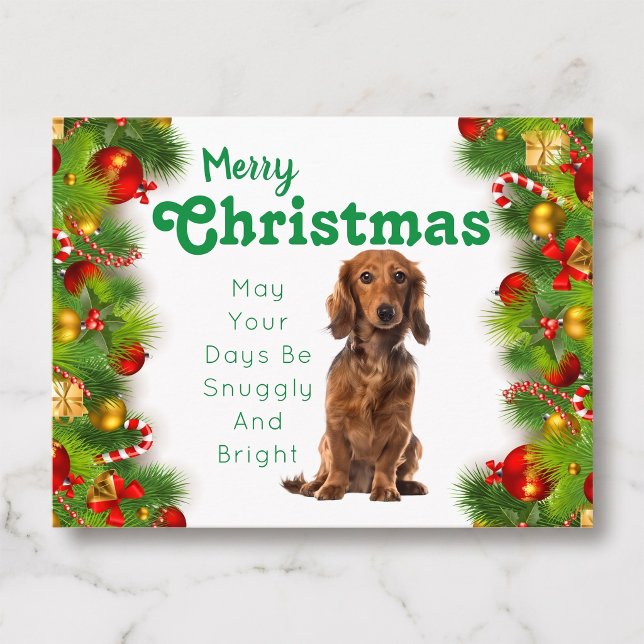 Julkort med Dachshund God Jul Helg Vykort (A Dachshund Christmas celebration.)