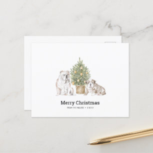 Julkort med engelska Bulldog-familjen Vykort