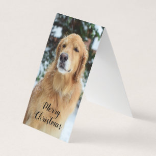 Julkort med Golden Retriever Kort