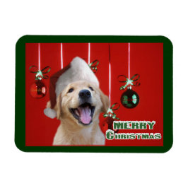 Julkort med Golden Retriever - presenter Magnet