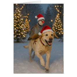 Julkort med gul Labrador och rapphöna Hälsningskort