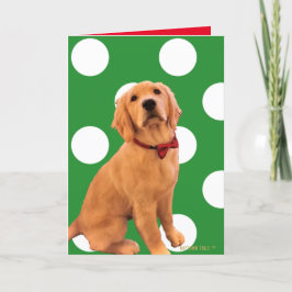 Julkort med gyllene julhund tack kort