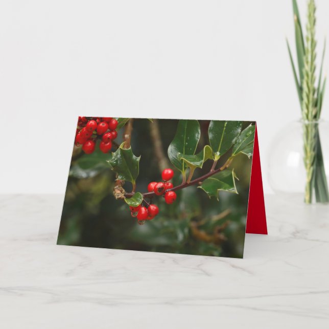 Julkort med holly kort (Framsida)