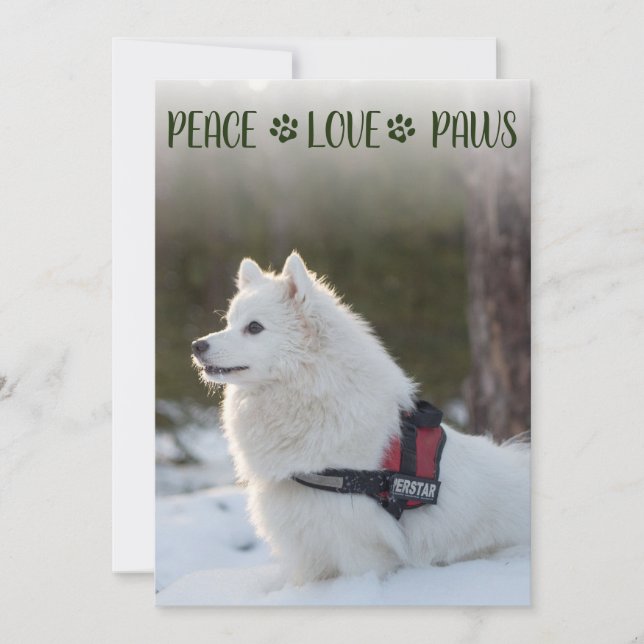 Julkort med hundfoto (Framsida)