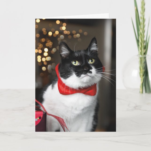 Julkort med katt - God Jul på kattvis Kort (Framsida)