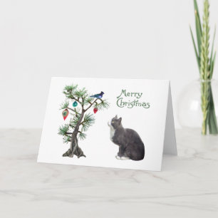 Julkort med katt på kattmatta helgkort
