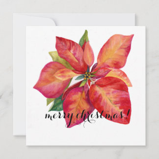 Julkort med Poinsettia