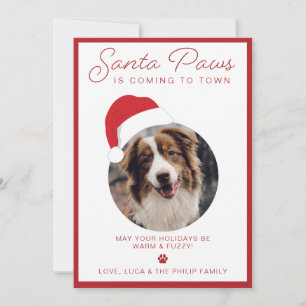 Julkort med Santa Paws husdjursfoto
