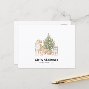 Julkort med Shiba Inu hundfamilj  Vykort