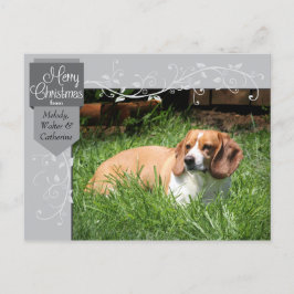 Julkort med silverflik och -blomsterdekoration för helg vykort