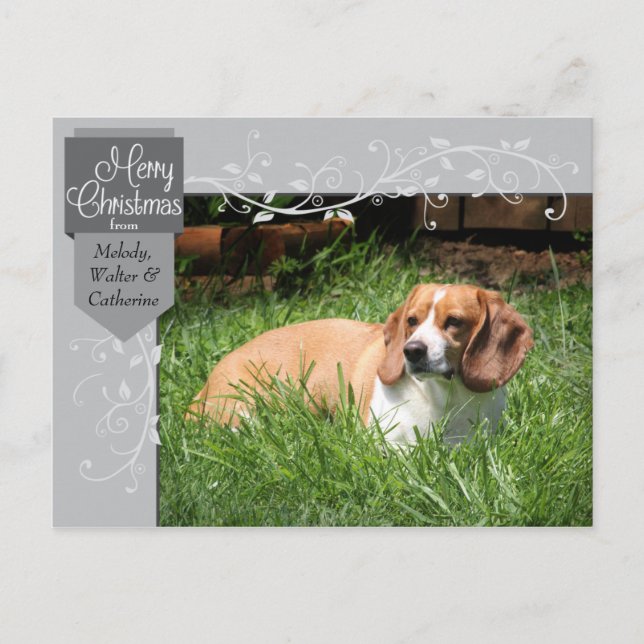 Julkort med silverflik och utsmyckningar för foton helg vykort (Framsida)