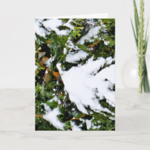Julkort med snö på grenar