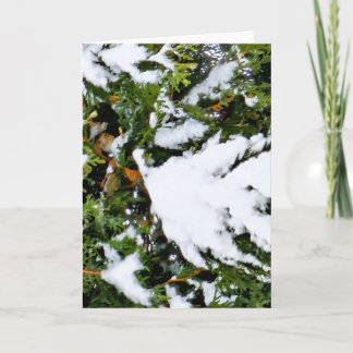 Julkort med snö på grenar kort