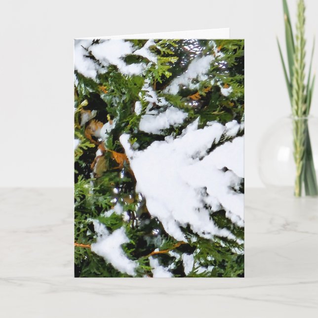 Julkort med snö på grenar kort (Framsida)