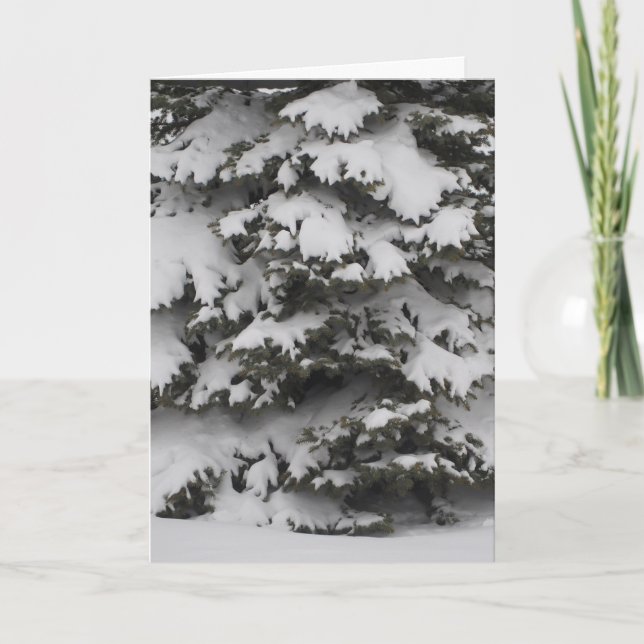 Julkort med snöiga grenar i fälld design helgkort (Framsida)