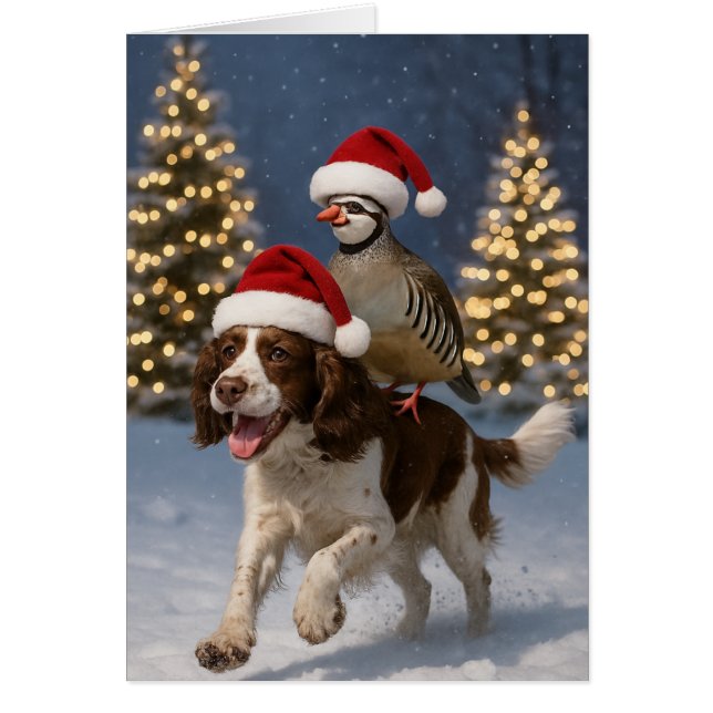 Julkort med Springer Spaniel och rapphöna Hälsningskort (Framsidan)