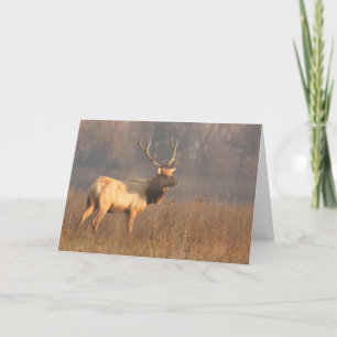 Julkort med Tule-elk Kort