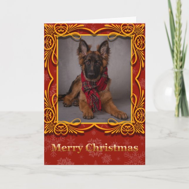Julkort med tysk schäferhund. helgkort (Framsida)