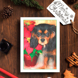 Julkort med valp Cavalier King Charles och Poinset Helgkort