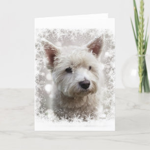 Julkort med Westie Helgkort