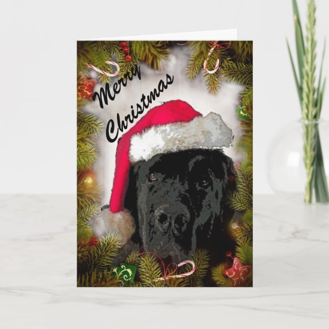 Julkort ~ Newfoundland Hund Helgkort (Framsida)