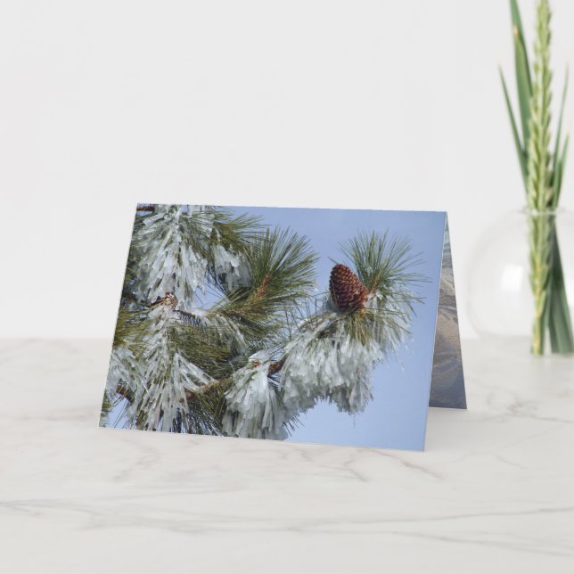 Julkort - Pinecone Helgkort (Framsida)