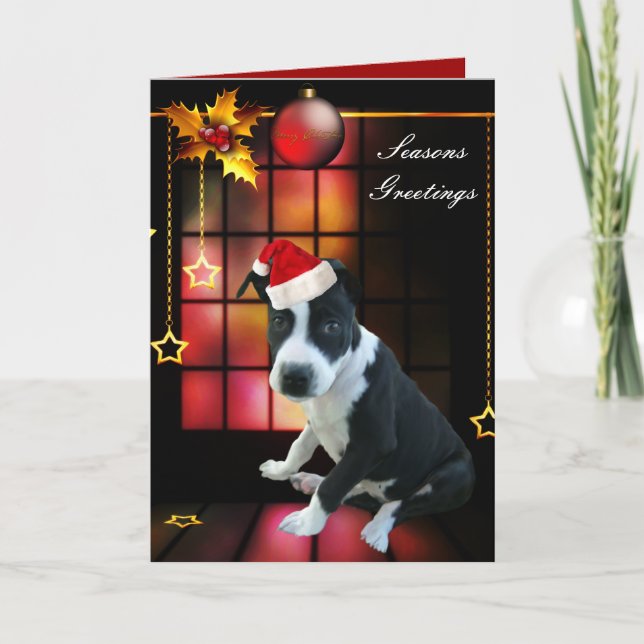 Julkort Pitbull Valp Hund Helgkort (Framsida)