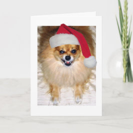 Julkort | Pommern Santa Hund Helgkort