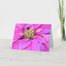Julkort - Rosa Poinsettia Helgkort