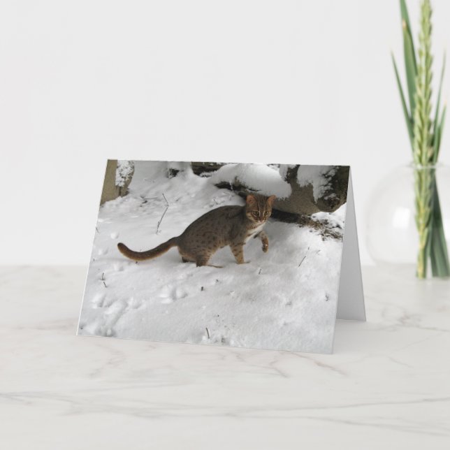 Julkort - rostig prickig katt 2 helgkort (Framsida)