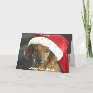 Julkort - Santa Dachshund Helgkort