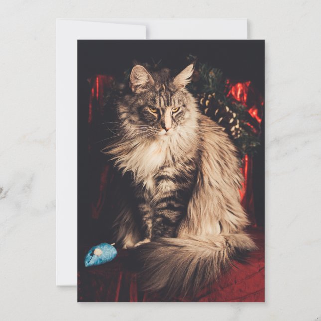 Julkort Smilla V1 (Framsida)