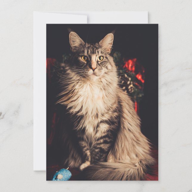 Julkort Smilla V2 (Framsida)