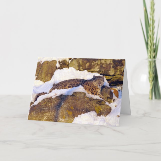 Julkort Snö leopard Helgkort (Framsida)