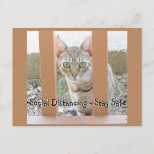 Julkort - Social Distansering Randig Katt Vykort