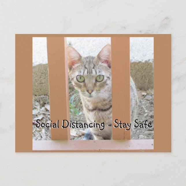 Julkort - Social Distansering Randig Katt Vykort (Framsida)