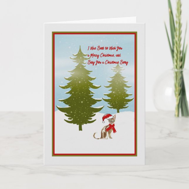 Julkort som säljs av en katt helgkort (Framsida)